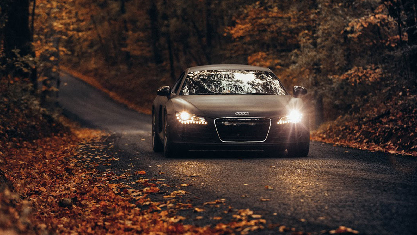 person driving car through the woods after getting a car loan in Toronto